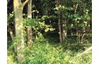 Property photo 3 - 114+/- Acres Offered in 4 Tracts